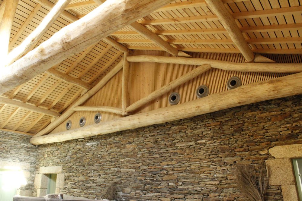 25487593_1215088698622884_2424377196964072586_o