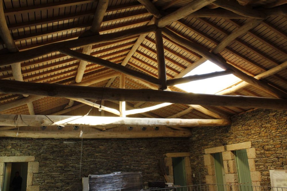 25531888_1215088555289565_7588339293510841811_o