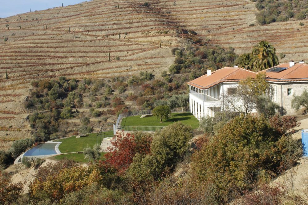 25542666_1215089051956182_7452395760021251819_o