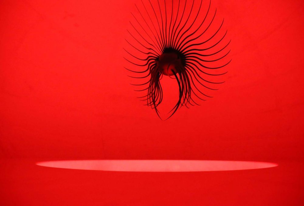 10682290_1559891540918744_2793508394973290007_o